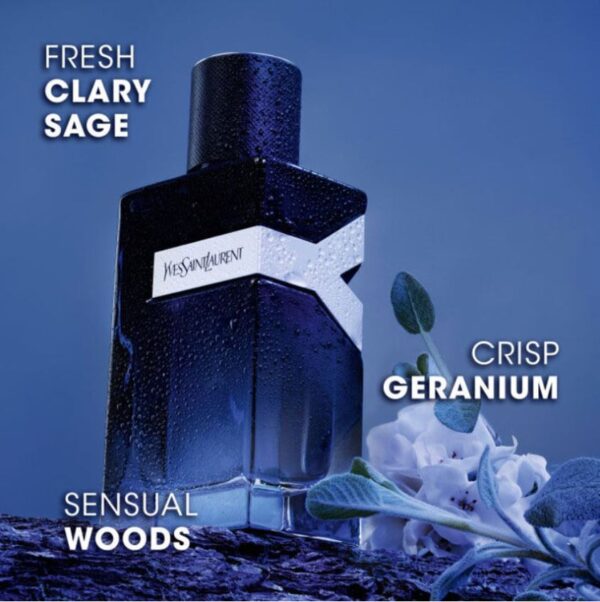 1. YSL Y EAU DE PARFUM 100ml - Image 4